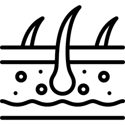 Estetoscopio