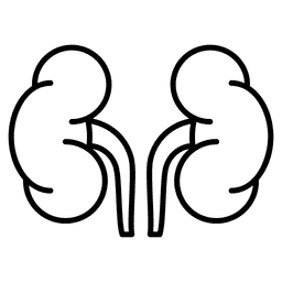 Estetoscopio